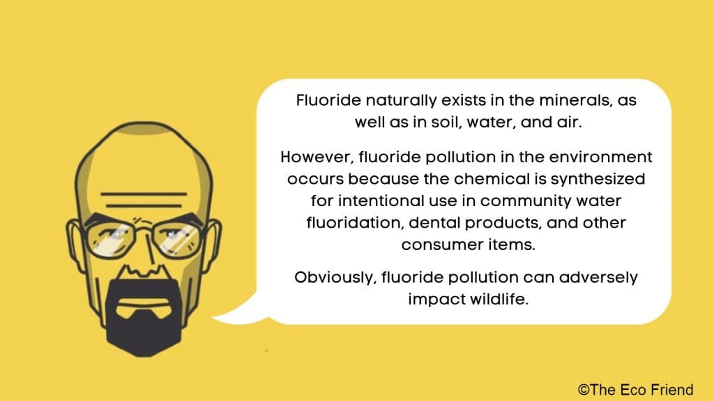 How processed fluoride is harmful for the environment.