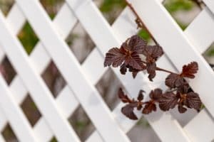 Clean white vinyl fence